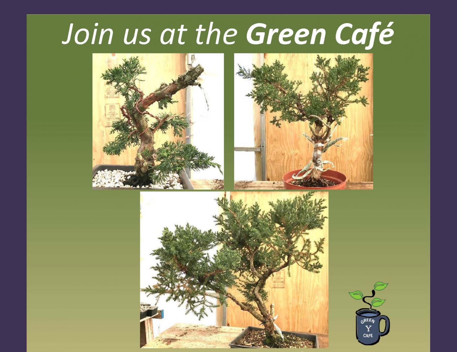 Green Café at Yale Logo